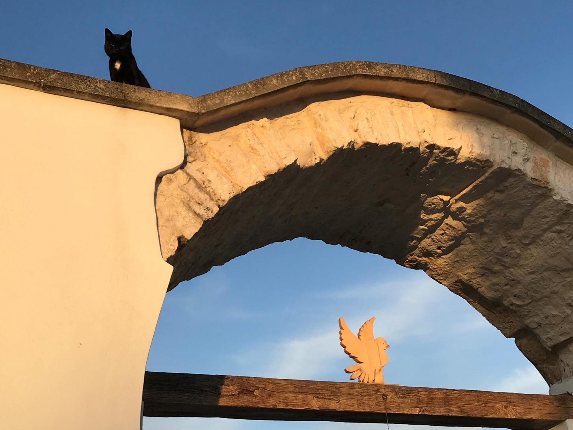 Relais Masseria della Colomba - Agriturismo Francavilla Fontana Esterno foto