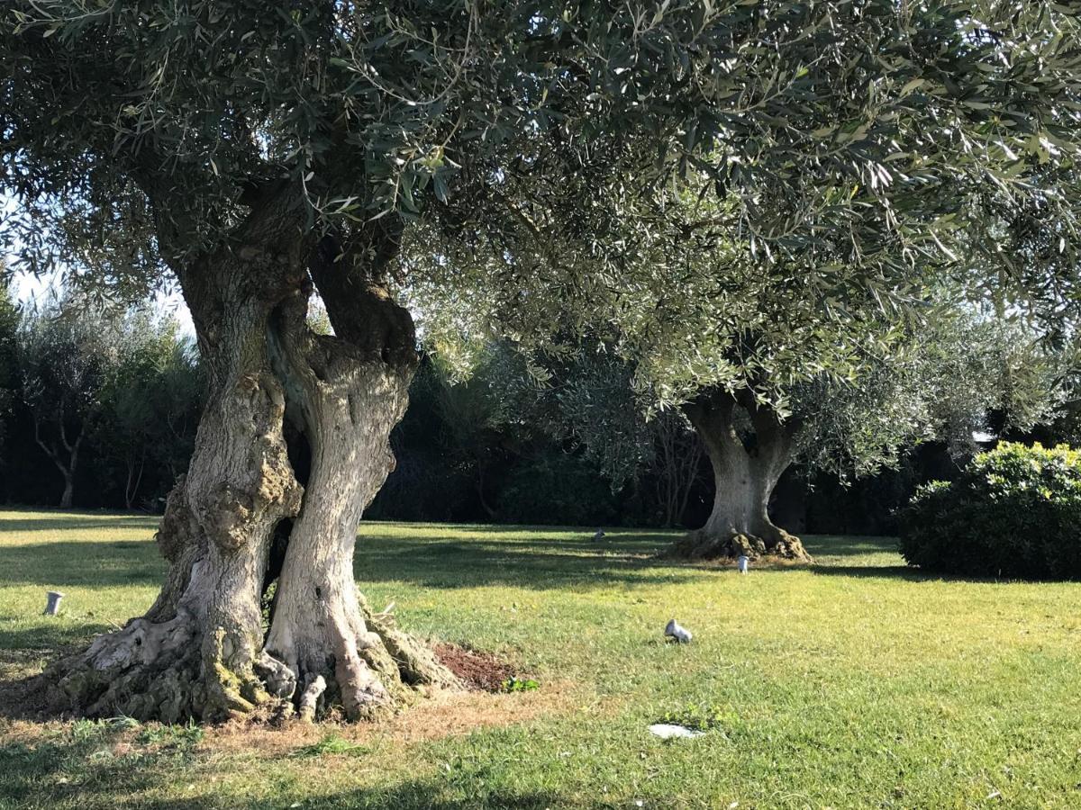 Relais Masseria della Colomba - Agriturismo Francavilla Fontana Esterno foto